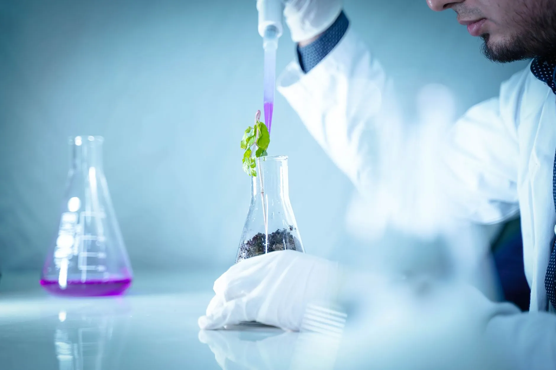 河南御颜堂生物科技:天然植物提取物在抗衰老精华液中的应用分析正文配图 1