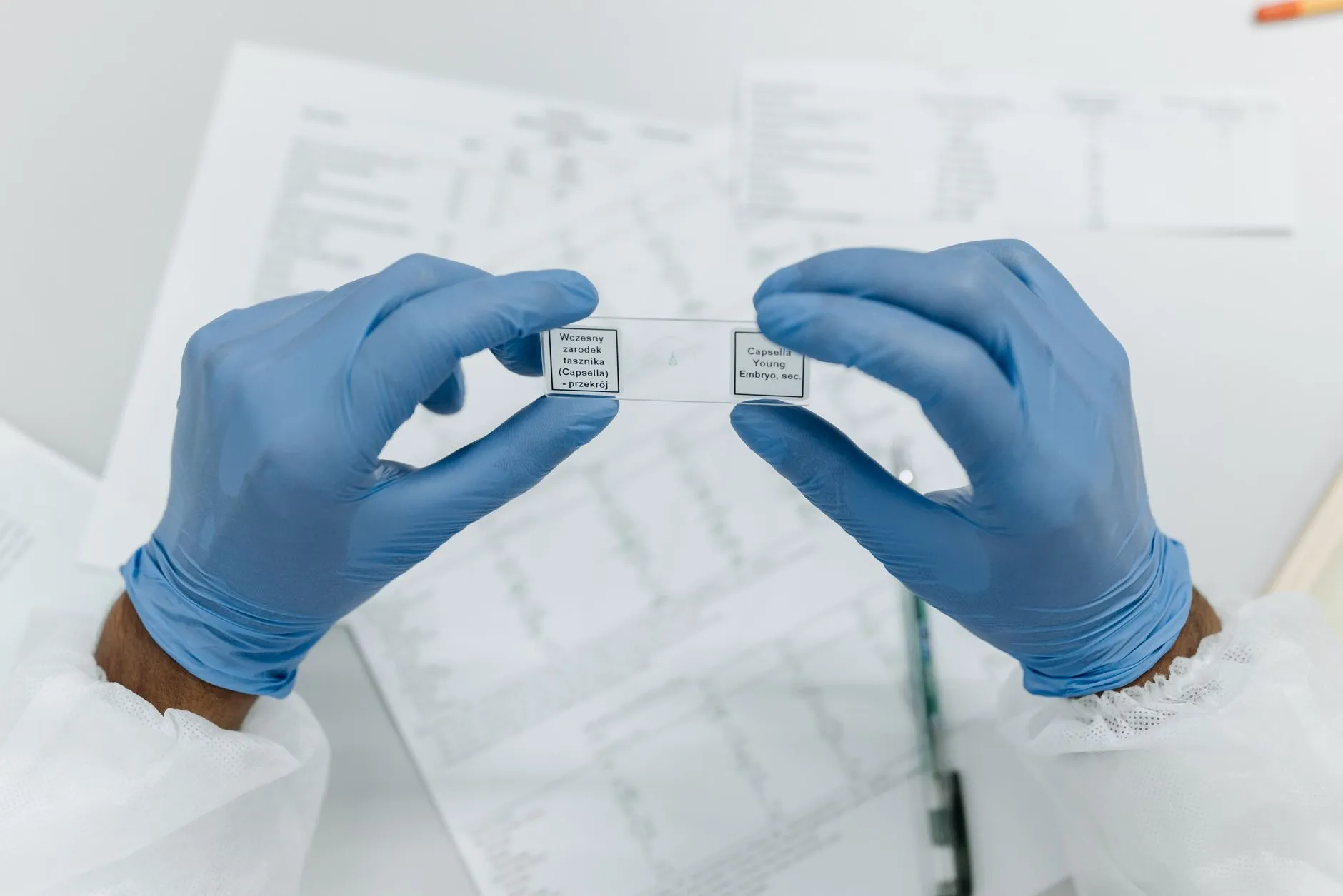 河南御颜堂生物科技有限公司面膜系列天然成分解析与保湿技术应用正文配图 1