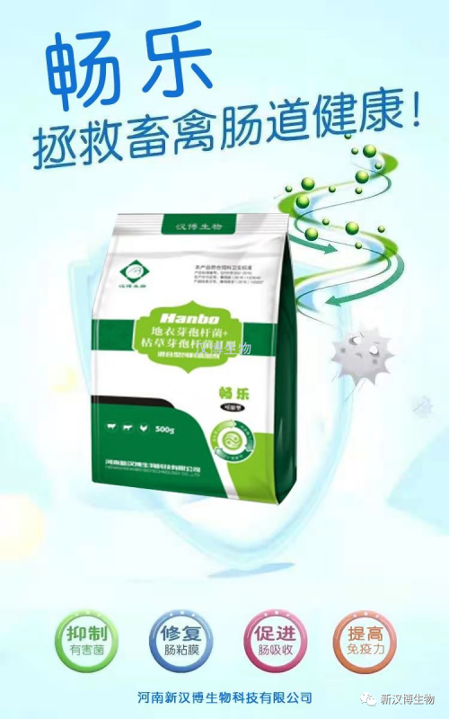 飼料禁抗後，斷奶仔豬腹瀉問題将更爲(wéi / wèi)嚴重，養豬人(rén)如何應對